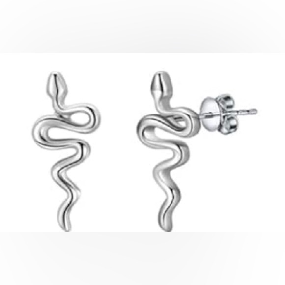 Blossom Boutique Jewelry - Mini Silver Snake Stainless Steel Stud Earrings